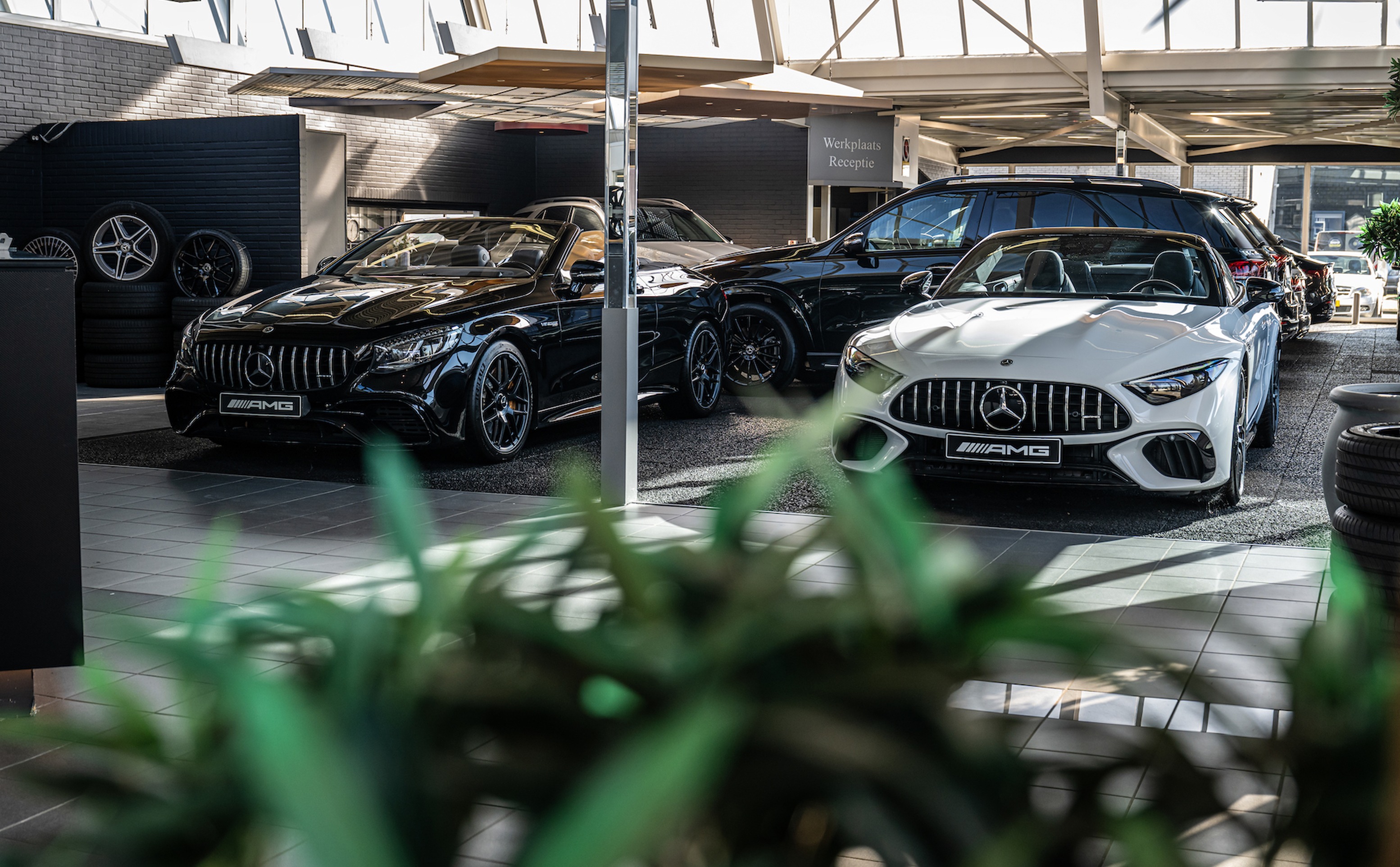 Common Image dinesten_images_1762173382.jpg Inkoop / Taxatie | Partner Website